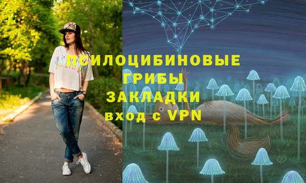 стаф Абаза