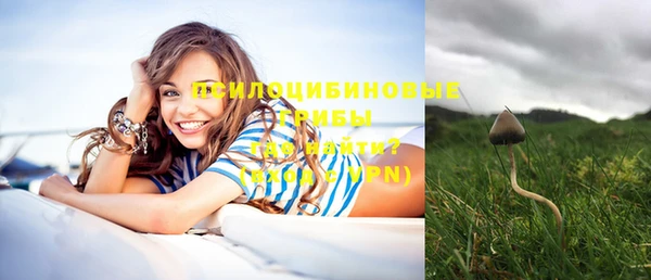 а пвп мука Абдулино
