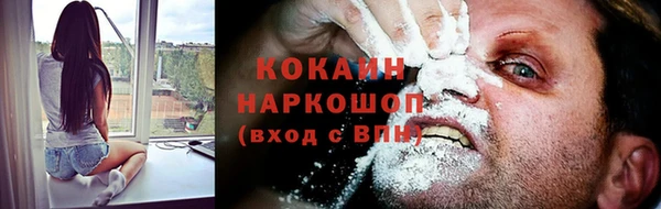 стаф Абаза
