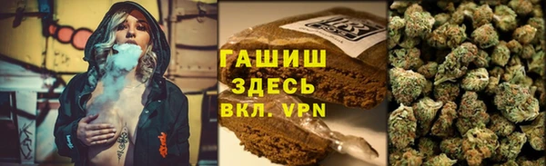 стаф Абаза