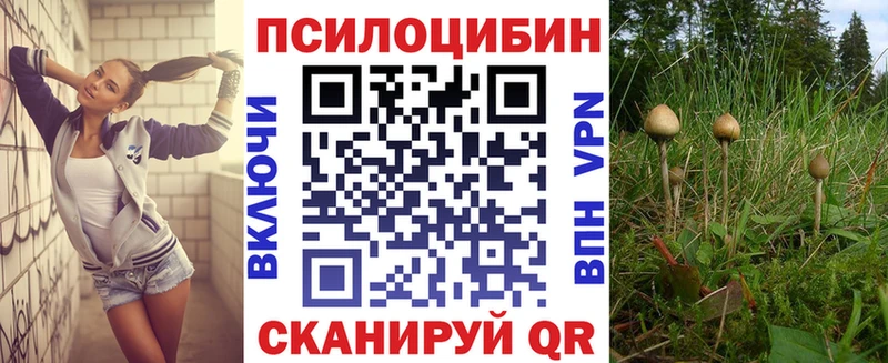 купить наркотики сайты  Орск  Псилоцибиновые грибы ЛСД 