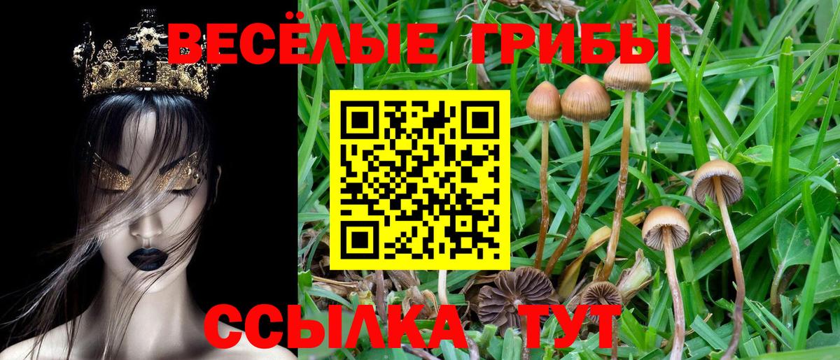 Орск  Псилоцибиновые грибы ЛСД  Вход с VPN 